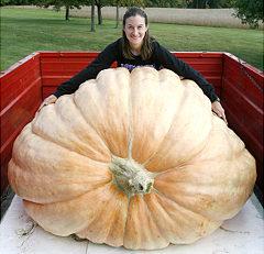 Giant Gardening - Pumpkin
