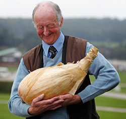Giant Gardening - Onion