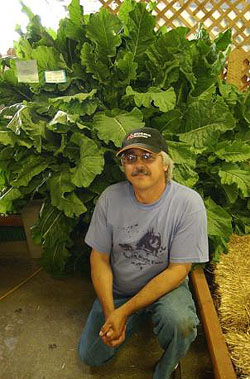 Giant Gardening - Kale