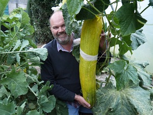 Giant Gardening - cucumber