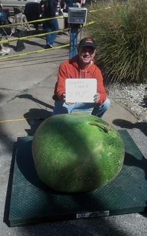 Giant Gardening - Gourd