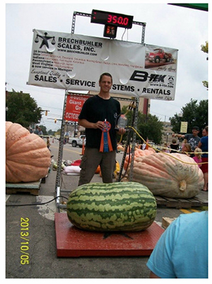 Giant Gardening - kent Watermelon
