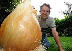 Giant Gardening - Onion