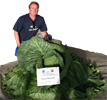 Giant Gardening Cabbage heaviest record photo