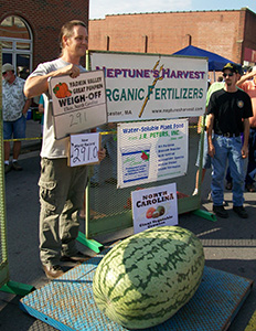 Giant Gardening - kent Watermelon