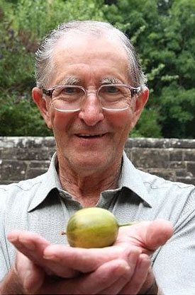 Giant Gardening - Gooseberry