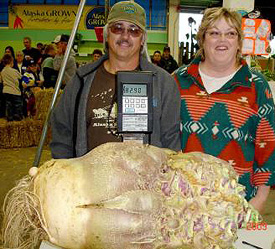 Giant Gardening - Rutabaga