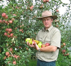 Giant Gardening - Potato