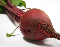 Giant Gardening - Beet