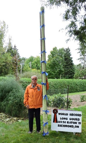 Giant Gardening - Long Gourd