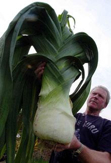 Giant Gardening - Heavy Leek