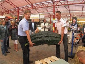 Giant Gardening - Marrow