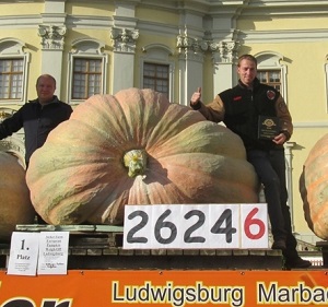 Giant Gardening - Pumpkin - Ron Wallace