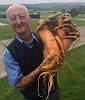 Giant Gardening Carrot heaviest record photo