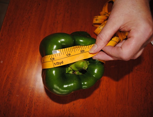 Giant Gardening Green Pepper Seeds