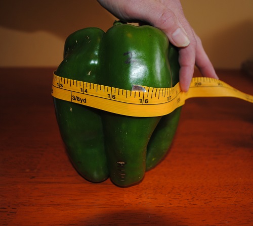 Giant Gardening Green Pepper Seeds